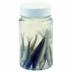 Merk [ 0 ] ALBATROS AASVISJES ROACHES