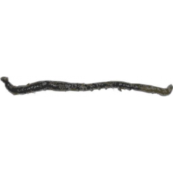 Merk [ 3 ] FRANSE TAPPEN P/10