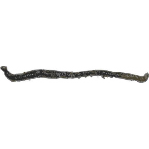 Merk [ 3 ] FRANSE TAPPEN P/10 -Hengels Verkoop franse tappen p 10