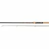 Merk [ 10 ] LION SPORTS OLD SCHOOL CARP FLOAT -Hengels Verkoop lion sports old school carp float