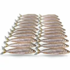 Merk [ 9 ] PREBAITS PREDATOR SPIERING -Hengels Verkoop prebaits predator spiering 1