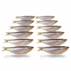 Merk [ 10 ] PREBAITS PREDATOR SPROT 200 > 250 GRAM 8 > 13 CM 10 TOT 18 STUKS