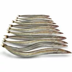 Merk [ 13 ] PREBAITS PREDATOR ZANDSPIERING 200 GRAM 13 > 18 CM 13 TOT 17 STUKS