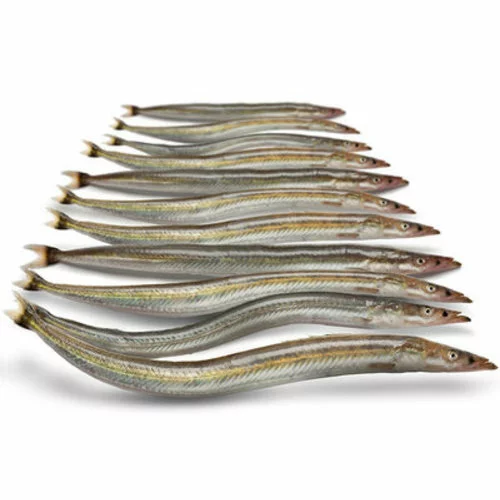 Merk [ 13 ] PREBAITS PREDATOR ZANDSPIERING 200 GRAM 13 > 18 CM 13 TOT 17 STUKS -Hengels Verkoop prebaits predator zandspiering 200 gram 13 18 cm 1